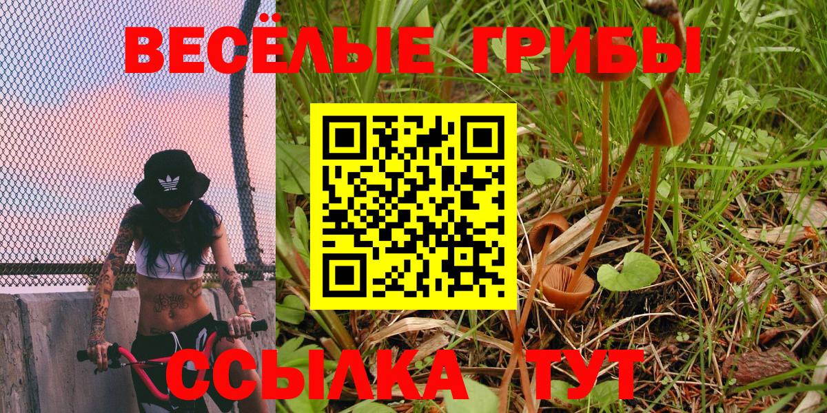 Галлюциногенные грибы Psilocybine cubensis Корсаков