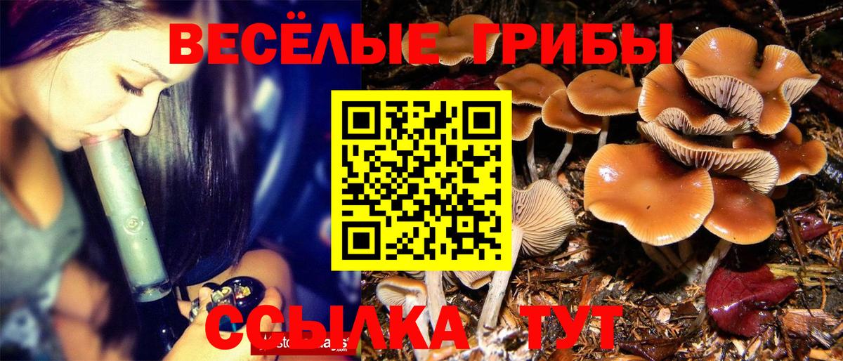 Псилоцибиновые грибы мицелий  Галлюциногенные грибы Cubensis  Вход с VPN  Корсаков 